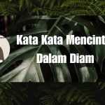 Kata Kata Mencintai Dalam Diam