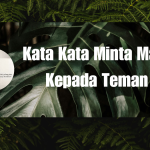 Kata Kata Minta Maaf Kepada Teman