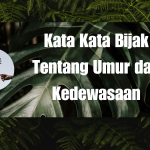 Kata Kata Bijak Tentang Umur dan Kedewasaan