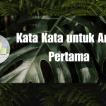 Kata Kata untuk Anak Pertama