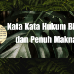 Kata Kata Hukum Bijak dan Penuh Makna