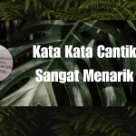 Kata Kata Cantik Sangat Menarik