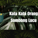 Kata Kata Orang Sombong Lucu