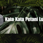 Kata Kata Petani Lucu