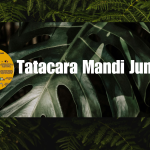 Tatacara Mandi Junub