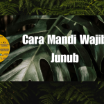 Cara Mandi Wajib Junub